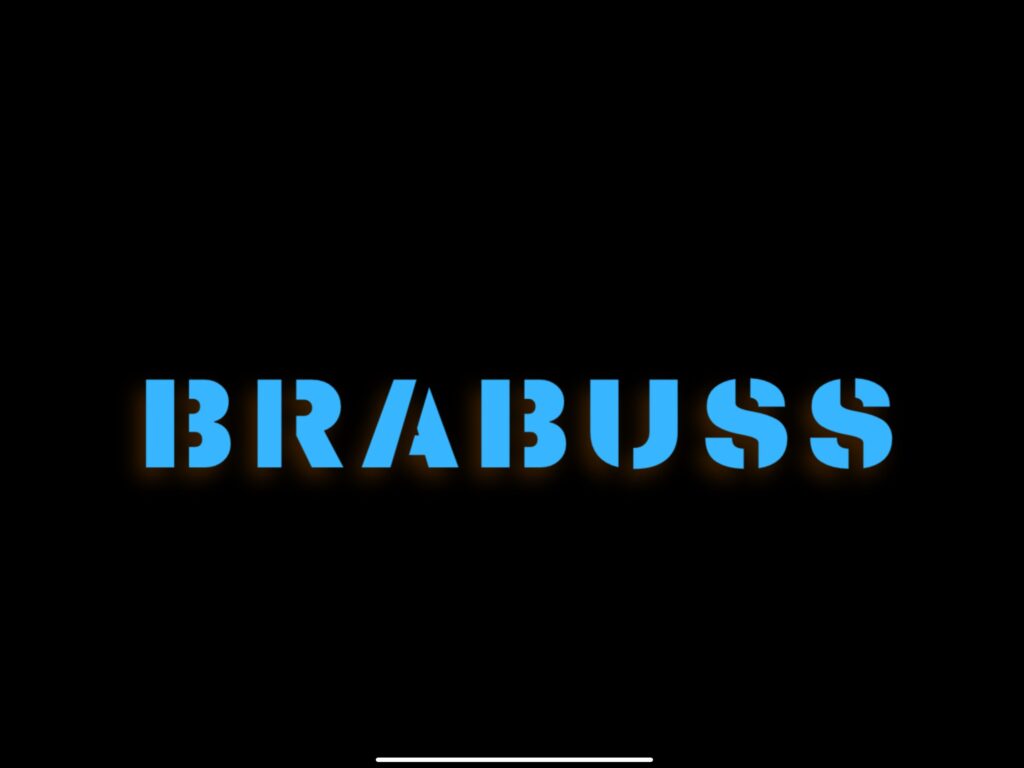 brabuss as logo