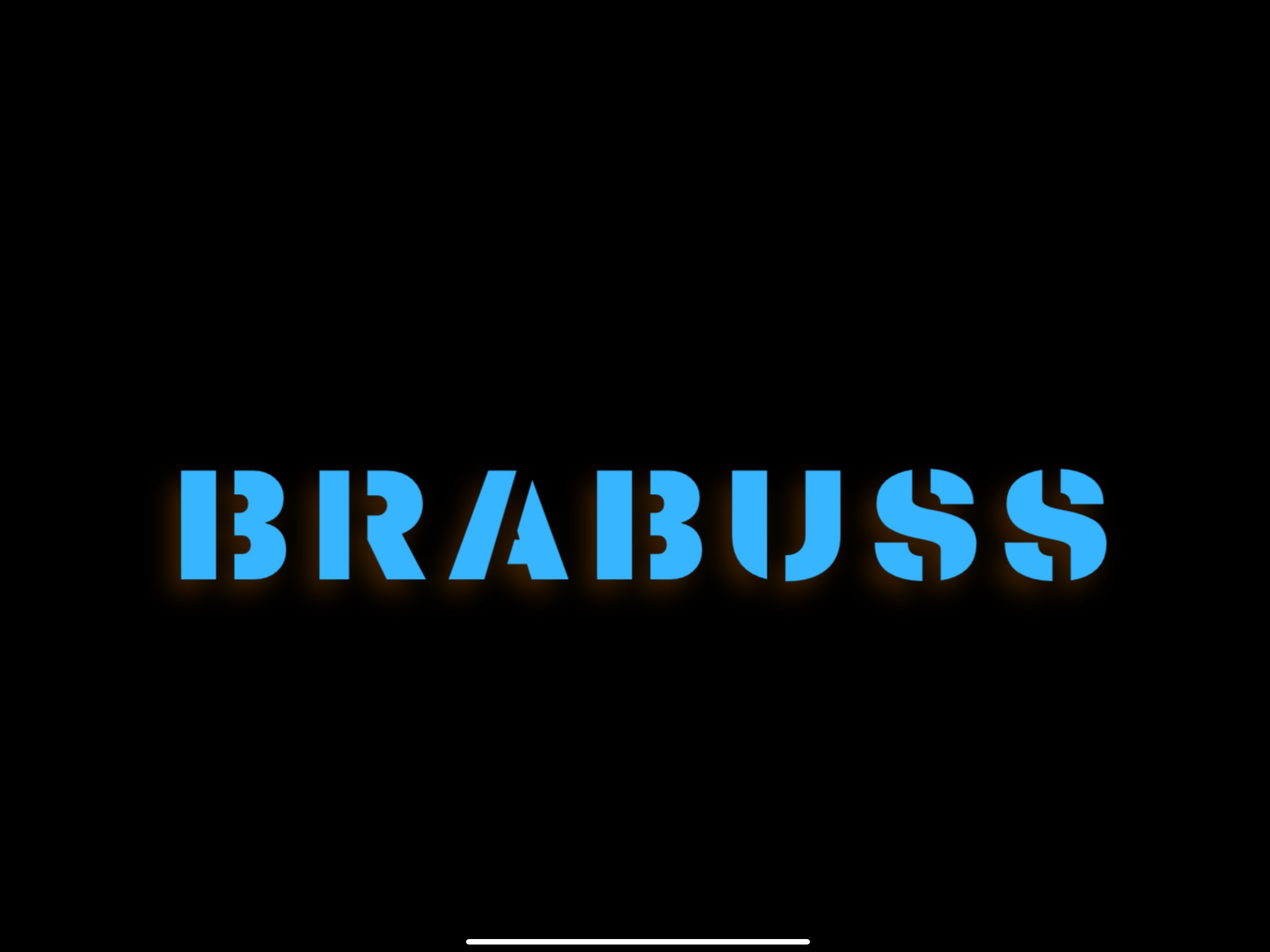brabuss as logo